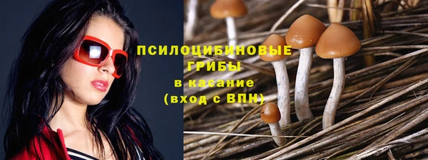 спайс Козловка