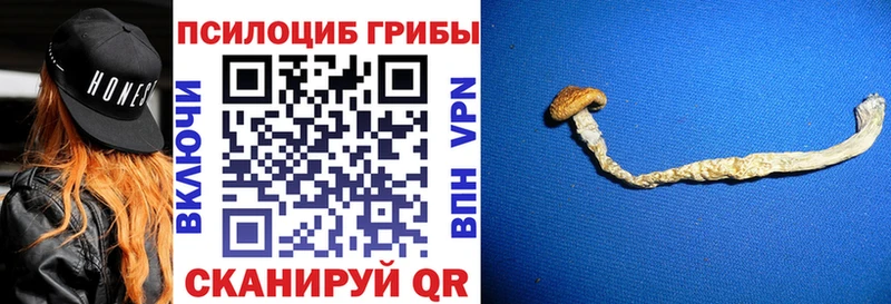 как найти наркотики  Лесосибирск  Галлюциногенные грибы мицелий 