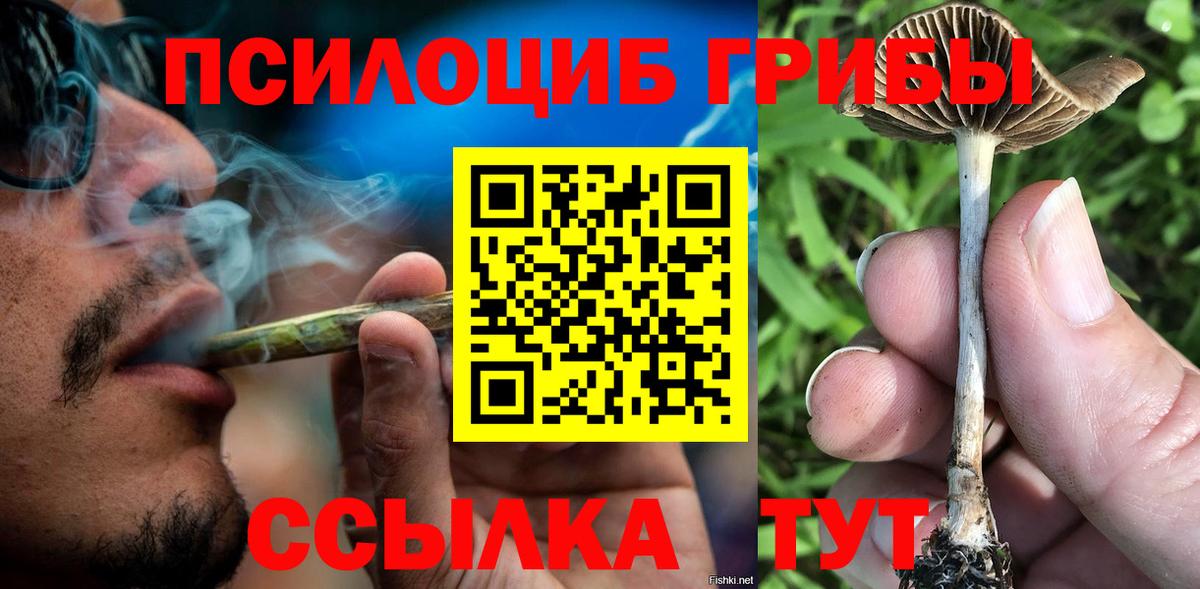 Лесосибирск  Галлюциногенные грибы GOLDEN TEACHER  Вход с VPN 
