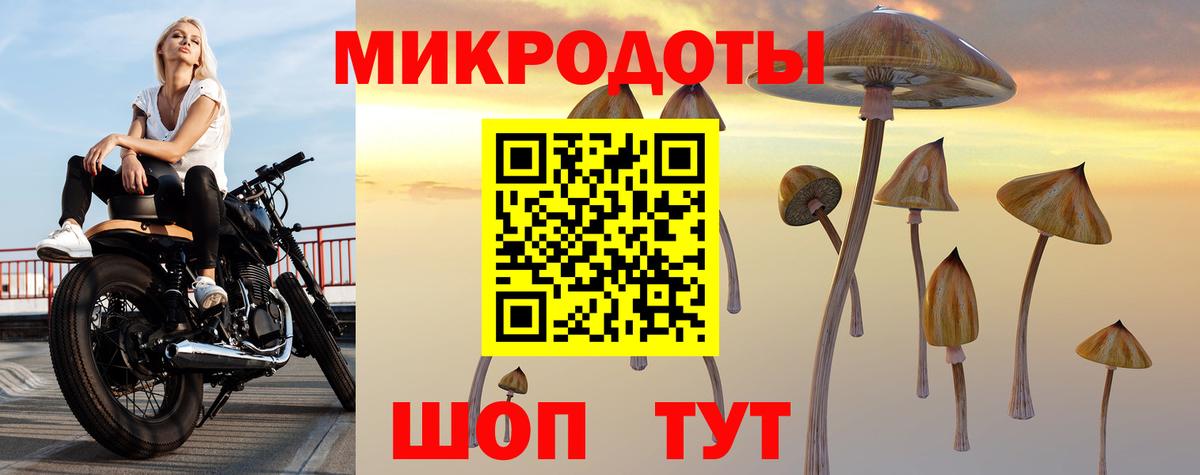 Псилоцибиновые грибы Cubensis Лесосибирск